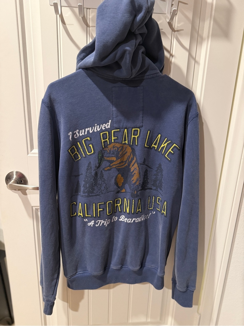 Hollister Co. I Survived Big Bear Lake California USA Graphic Hoodie NWOT